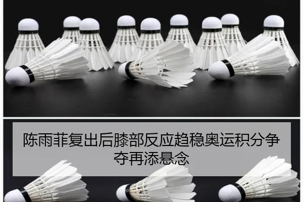 陈雨菲复出后膝部反应趋稳奥运积分争夺再添悬念
